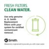 AO Smith Advanced Direct Connect Under Sink Filter Review Reducing 99 Percent Contaminants