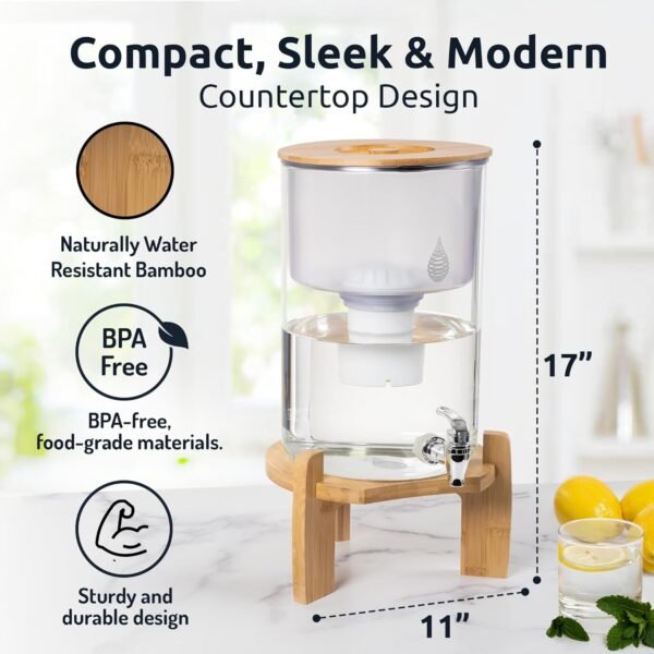 Invigorated Water pH Recharge Glass Pitcher Water Filter Review Reveals High pH Benefits